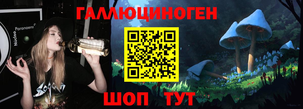хочу наркоту  Псилоцибиновые грибы мухоморы  Вход с VPN  Иваново  Псилоцибиновые грибы GOLDEN TEACHER 